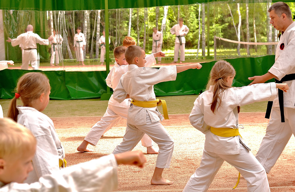 Zajęcia karate class=